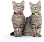 SuperBuddy Cat Collars Breakaway with Bell - 4 Pack Cat Safety Collars for Boys & Girls - Safety Buckle Kitten Collar for Pet Supplies,Stuff,Accessories - Image 8