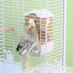 No Mess Parrot Automatic Feeder Anti-Scattering Bird Feeder for Cage Bird Food Bowl Container Parakeet Cage Accessories Finch Lovebirds Budgies Canary (Round Roofs) - Image 8