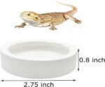 3 Pcs Reptile Food Bowl, Ceramic Water Feeder Bowl for Lizard Anoles Bearded Dragons Crested Gecko Hermit Crabs Triangular - Image 4