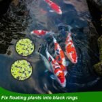 5pcs Aquarium Floating Plant Rings, Foam Floating Plant Corral Fish Feeding Rings Fish Tank Food Ring for Keeping Floating Plants in Place (Black) - Image 4