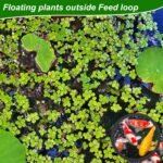 5pcs Aquarium Floating Plant Rings, Foam Floating Plant Corral Fish Feeding Rings Fish Tank Food Ring for Keeping Floating Plants in Place (Black) - Image 5