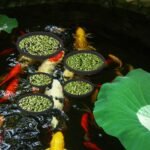 5pcs Aquarium Floating Plant Rings, Foam Floating Plant Corral Fish Feeding Rings Fish Tank Food Ring for Keeping Floating Plants in Place (Black) - Image 7