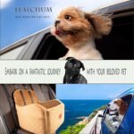 Dog Booster Car Seat for Small/Medium Dogs,Puppy Booster Car Seat with Ultra Soft Fabric,Fully Detachable and Washable Car Seat for Dogs,Easy to Install(Coffee, Medium) - Image 7