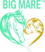 Big Mare Horse Thrush Spray | Clinically Proven Effective On Thrush. No Sting, No Stain Formulation. Veterinary Approved & Recommended. - Image 5