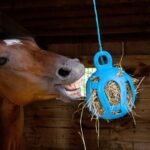 Horsemen's Pride Jolly Hay Ball Stall Toy for Horses, Blue, 8" - Image 3