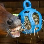 Horsemen's Pride Jolly Hay Ball Stall Toy for Horses, Blue, 8" - Image 4