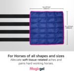Magic Gel Horse Ice Pack with Carry Case - Twin Ice Boots | Cooling Horse Leg Wraps for Hock, Ankle, Knee, Legs, Boots, and Hooves | Horse Tack, Horse Supplies & Horse Gift Ideas for Horse Lovers - Image 3