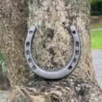 Atpxdk 6 pcs Cast Iron Horseshoe Wall Decor, Durable Medium Cast Iron Horse Shoes Decoration for Good Luck - Image 5