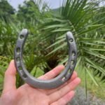 Atpxdk 6 pcs Cast Iron Horseshoe Wall Decor, Durable Medium Cast Iron Horse Shoes Decoration for Good Luck - Image 6