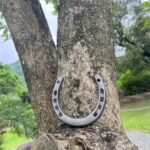 Atpxdk 6 pcs Cast Iron Horseshoe Wall Decor, Durable Medium Cast Iron Horse Shoes Decoration for Good Luck - Image 7