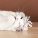 Lovelyshop Pet Series Pink Gem Rhinestone Dog/Cat Tiara Crown for Costume Hair Accessories -Small Size - Image 3