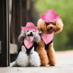 Yewong Pet Pink Cowboy Hat Costume Accessory Set Dog Cat Size Pink Cowgirl Princess Hat with Crown Tiara Bandana/Scarf for Cat Puppy Western Costume Daily Wearing Photo Props (Set B) - Image 7