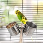 Hypeety Bird Parrot Feeding Double Cups Stainless Steel Food Water Bowls with Clip Bird Seed Feeder Cups Hanging Bowl Cage Stand Accessories - Image 7
