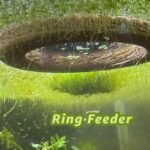 CTWPets Aquarium Portal Dock/Pier Feeding Ring | Decorative Aquarium Floater Ring | Dock Floating Decor - Image 5