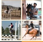 250Pcs 2.1inch E6 Horseshoe Nails, Steel Horse Shoe Nails Horse Hoof Nails Horseshoe Tools for Horse Training Equestrian Sports - Image 9