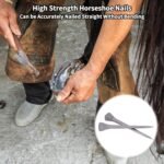 lukar 250pcs E5 Horseshoe Nails 2 Inch Stainless Steel Horse Shoe Nails for Stained Glass, Crafts, Horse Training Equestrian Sports - Image 7