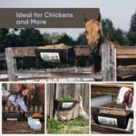 4 Pack Goat Feeders Hanging, Chicken Feeder, with Clips Hanging Fence Feeders, 4.5 Quart Feed Buckets for Horses, Duck Feeder, Chicken Water Feeder, Poultry Feeding Trough - Image 7
