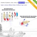 Fishing Lures Set Fish Lure kit for Bass Trout Salmon Freshwater Fish Tackle kit Including Plastic Shrimp Worm Bait Spoon Grasshopper Crankbait Jigs Hooks Fishing Gear and Equipment - Image 5