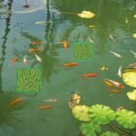 Fish Feeding Ring, Floating Plant Corral, Aquarium Floating Plant Ring, Aquarium Feeding Ring, Fish Tank Plant Corral Set for Aquarium Accessories, 5pcs, Green - Image 7
