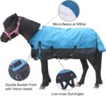 Mini Horse/Pony/Foal/Miniature Size 36"-51" Lightweight Waterproof & Breathable 1200 Denier Turnout Blanket with No Filling Peacockblue 36" - Image 3