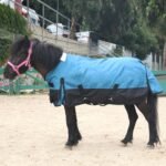 Mini Horse/Pony/Foal/Miniature Size 36"-51" Lightweight Waterproof & Breathable 1200 Denier Turnout Blanket with No Filling Peacockblue 36" - Image 7