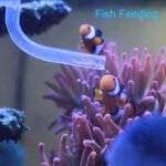 Aquarium Coral Feeder Fish Feeder Waste Clean Tool Manual Cleaner Water Changer Fish Tank Cleaning Tool Siphon Dropper Waste Remover Aquatic Bottom Feeder Pipette (25IN) - Image 3