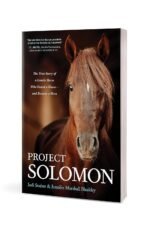 Project Solomon: The True Story of a Lonely Horse Who Found a Home--and Became a Hero - Image 4