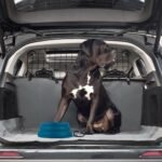 OHMO-Collapsible Dog Water Bowl Anti Tip Over No Spill from Car Movement(24oz Medium, Peacock Blue), Travel Dog Bowls, Less Splash Portable Pet Bowl for Road Trip, Cat Travel Accessories - Image 6