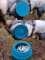 OHMO-Collapsible Dog Water Bowl Anti Tip Over No Spill from Car Movement(24oz Medium, Peacock Blue), Travel Dog Bowls, Less Splash Portable Pet Bowl for Road Trip, Cat Travel Accessories - Image 9