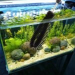 11 in 1 Fish Tank Aquarium Cleaning Brush Kit,Aquarium brushSutiable for Acrylic Fish Tank, and Plastic Fish Tank,Glass Fish Tank,Non Rusting,Fish Tank Cleaning Tools - Image 6