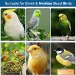 No Mess Bird Feeder Pack of 4 Automatic Parrot Water Dispenser Acrylic Adjustable Parakeet Seed Food Container Cage Accessories Drinker for Lovebirds Finches Budgies Canaries - Image 8
