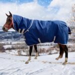 1200D Oxford Waterproof Warm-Keep Horse Turnout Blanket with Detachable Neck Cover，Heavy Weight Winter Turnout ，Horse Care Blanket Horse Rain Sheet (155CM) - Image 7
