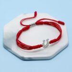 Horseshoe Bracelet, Lucky and Protection String, Inspirational Kabbalah String Of Fate, Surfer Adjustable for Men, Women, Forever Love Friendship (Horse Shoe) - Image 5