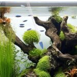 Coral Feeder for Fish Long Pipette Tank Long Syringe Dropper Pipette for Aquarium Coral Feeding, Automatic Dispenser for Fish Feeder Aquarium Tools(2 Packs/Blue) - Image 6