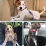 Adjustable pet cat and Dog car seat Belt，The Lanyard is Flexible and Adjustable from 20 to 33 inches (deforestation) - Image 7