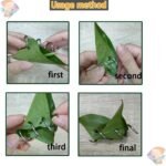 Fish Tank Aquarium Vegetable Feeder,Bottom Sinking Fish Feeder/Fish Tank Vegetable Feeder,Malawi Cichlid/pleco Fish/Clown Loach/Snails Feeder etc,3 Pack - Image 4