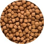 Hikari 3.5-Ounce Sinking Cichlid Gold Pellets for Pets, Medium - Image 5