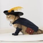 EOILFM Pet Cat Dog Puss in Boot Costume Cosplay Halloween Cute Kitten Puppy Clothes Dress up Pretend Play with Cloak Hat Belt Cape Accessories, Large, Black - Image 5