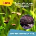 sera Catfish Chips Nature 3.4oz/0.21lbs | Premium Fish Food for Ancistrus & Plecos | High Fiber | No Dyes & Preservatives | Supports Digestion & Promotes Healthy Growth | Ideal for Bottom Feeders - Image 5