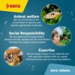 sera Catfish Chips Nature 3.4oz/0.21lbs | Premium Fish Food for Ancistrus & Plecos | High Fiber | No Dyes & Preservatives | Supports Digestion & Promotes Healthy Growth | Ideal for Bottom Feeders - Image 9