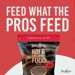 Blue Ridge Koi Fish Food 5lb - Koi Food 3/16” Color Rich Formula Goldfish Food, Premium Fish Food for Ponds, Ponds Fish Food, Koi Food Fall and Winter Fish Food, Floating Pond Pellets Fish Food - Image 4