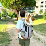 2 Pack Collapsible Dog Cat Bowls with Lid, Integrated 2-in-1 Portable Water and Food Bowl for Dog, Foldable Travel Dog Cat Water Bowl, Dog Cat Travel Accessories for Camping, Green and Beige - Image 6