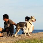 2 Pack Collapsible Dog Cat Bowls with Lid, Integrated 2-in-1 Portable Water and Food Bowl for Dog, Foldable Travel Dog Cat Water Bowl, Dog Cat Travel Accessories for Camping, Green and Beige - Image 8