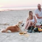 2 Pack Collapsible Dog Cat Bowls with Lid, Integrated 2-in-1 Portable Water and Food Bowl for Dog, Foldable Travel Dog Cat Water Bowl, Dog Cat Travel Accessories for Camping, Green and Beige - Image 9