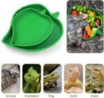 2 Pcs Leaf Reptile Food Water Bowl Plate Dish for Tortoise, Lizards, Young Bearded Dragons, Small Snakes, 2 Sizes - Image 5