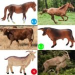 Red Barn and Farm Animal Figures Playset, 20Pack Preschool STEM Toys for Kids - Image 4