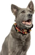 Huxley & Kent Ruff Pet Scrunchy | Shiny Christmas Plaid (Large) | Festive Christmas/Holiday Neckwear for Dogs/Cats | Fun Stretchable Costume Accessory | Soft Collar with Bells - Image 8