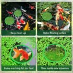 10 Pcs Fish Food Feeding Ring, Aquarium Floating Plant Ring, for Intercepts Floating Plants, Fish Tank Floating Food Ring, Floating Plant Ring for Betta, Goldfish, and Small Fish - Image 6
