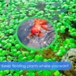 10 Pcs Fish Feeding Ring Round Floating Feeding Circle for Fish Tank Floating Food Ring Floating Plant Ring for Betta, Goldfish, and Small Fish (Green, Black) - Image 4