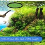 10 Pcs Fish Feeding Ring Round Floating Feeding Circle for Fish Tank Floating Food Ring Floating Plant Ring for Betta, Goldfish, and Small Fish (Green, Black) - Image 7
